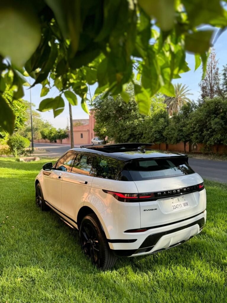 d4360298-b9fc-49af-9934-12621b621667